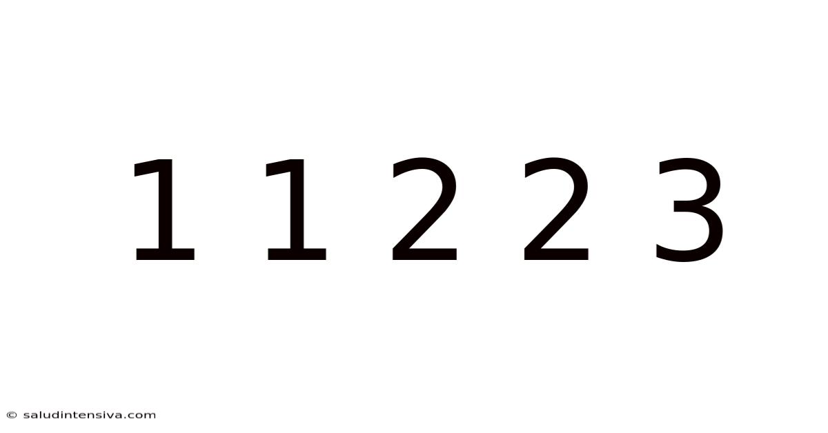 1 1 2 2 3