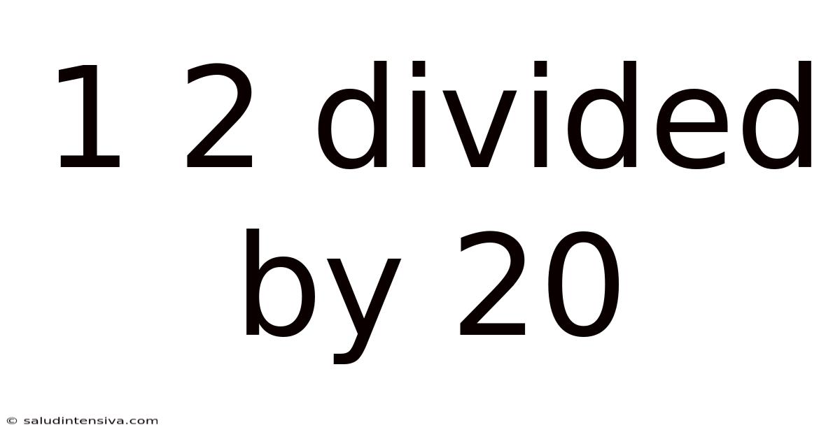 1 2 Divided By 20