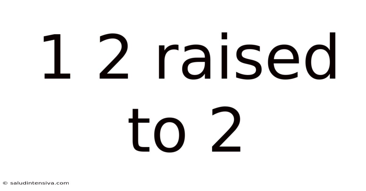 1 2 Raised To 2