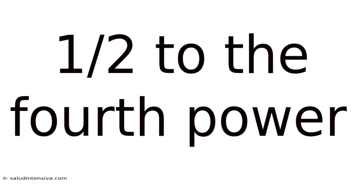1/2 To The Fourth Power