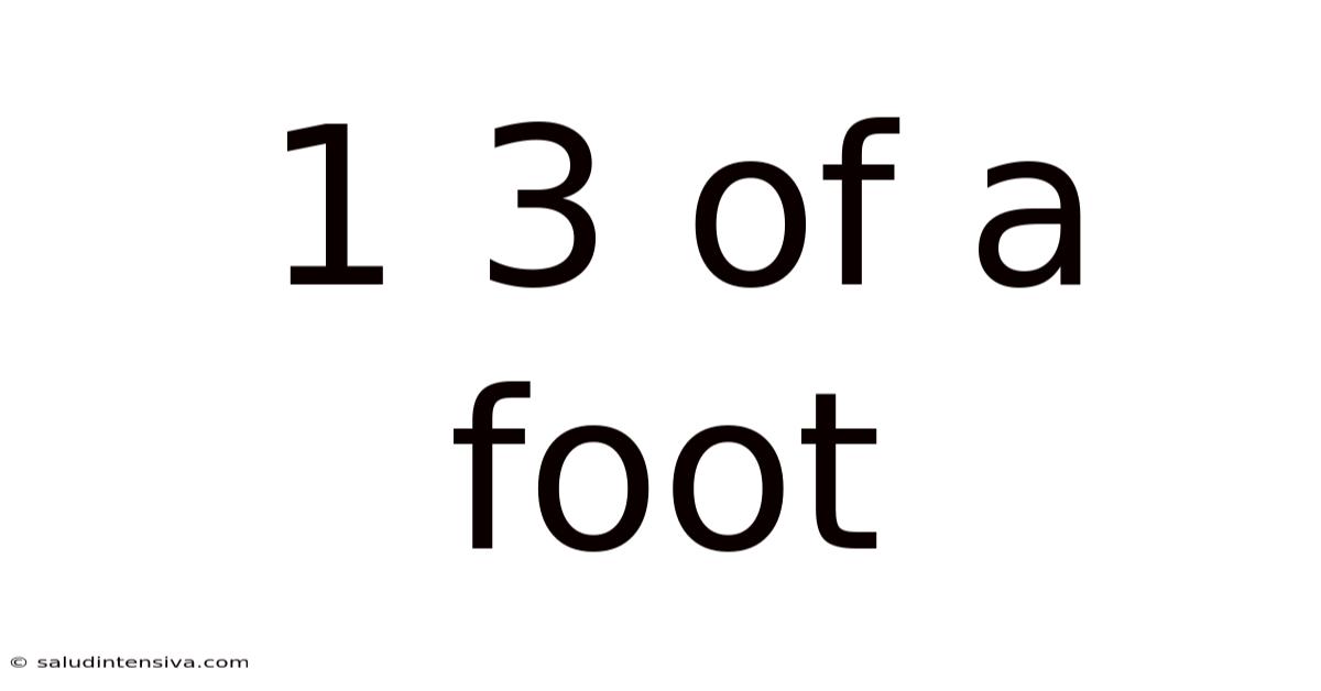 1 3 Of A Foot