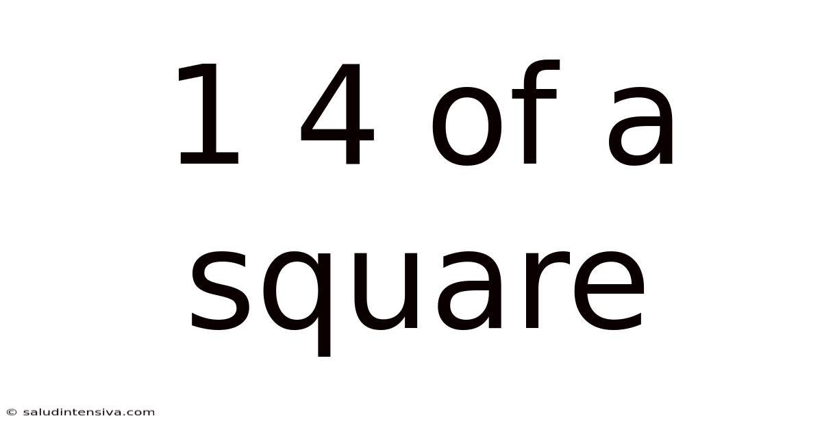1 4 Of A Square