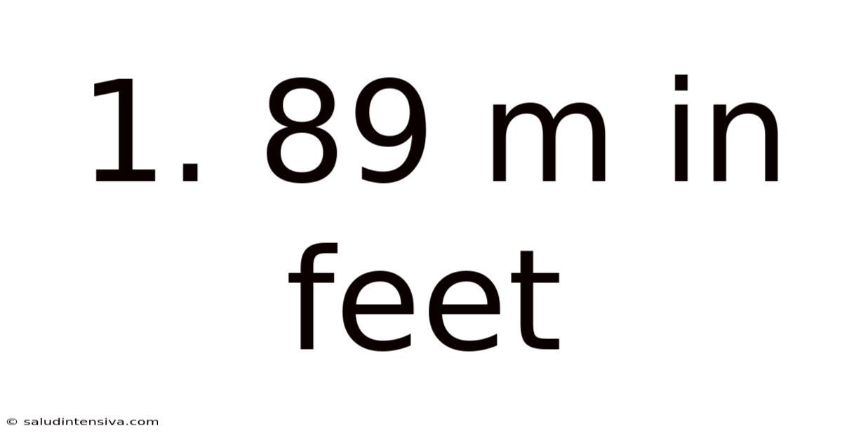 1. 89 M In Feet