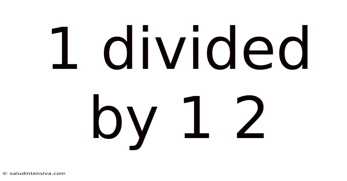 1 Divided By 1 2
