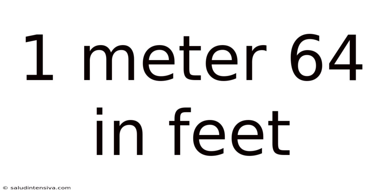 1 Meter 64 In Feet