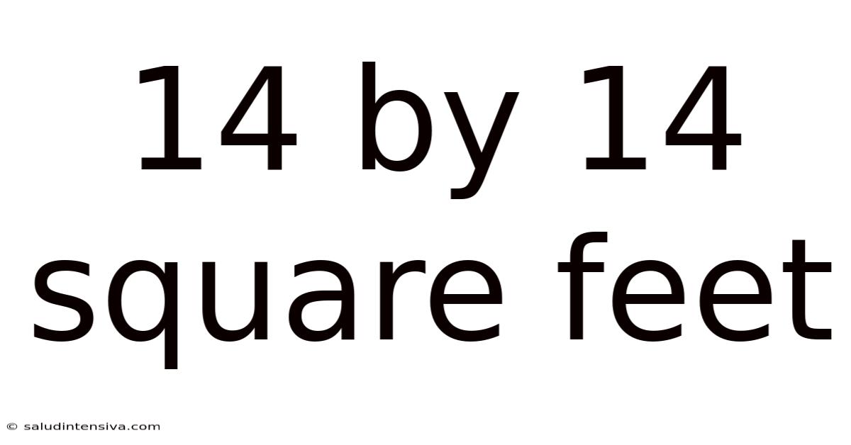14 By 14 Square Feet