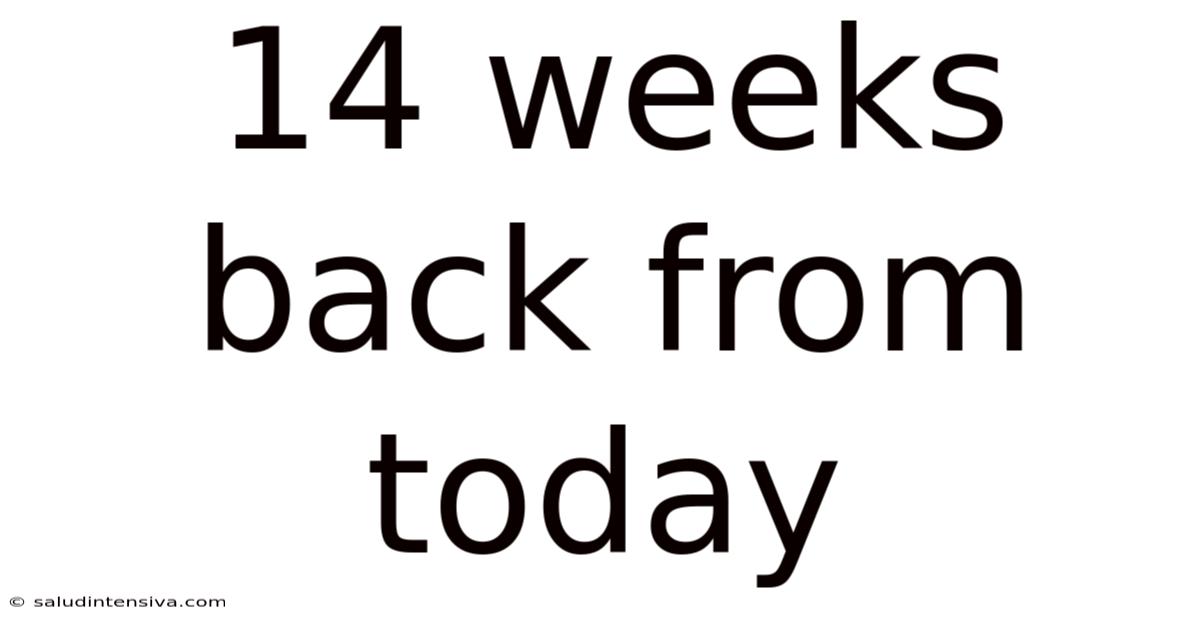 14 Weeks Back From Today