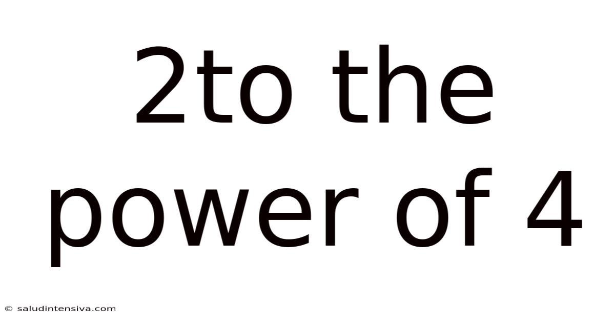 2to The Power Of 4