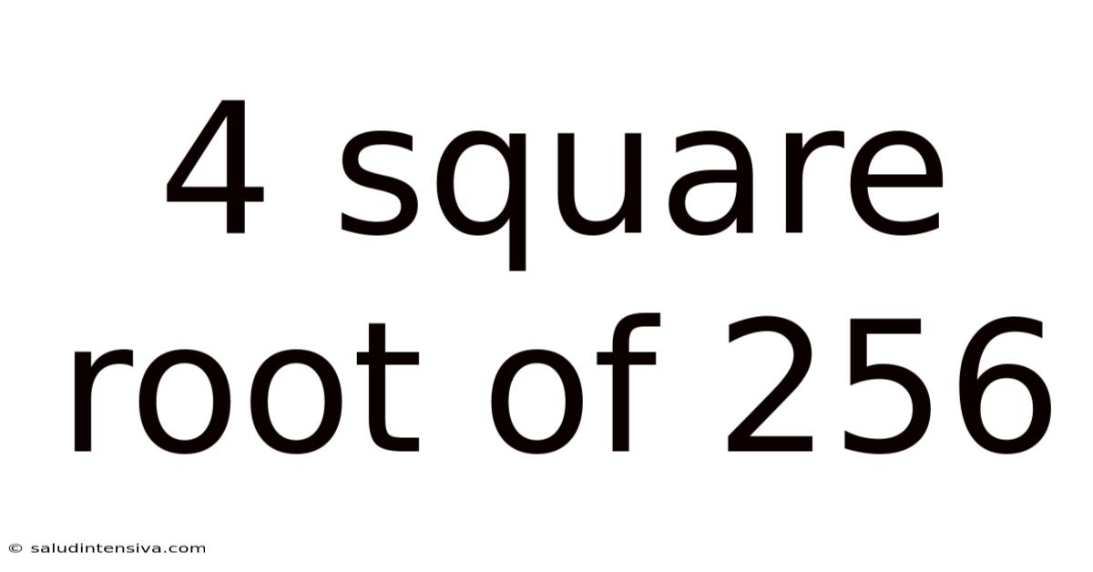4 Square Root Of 256