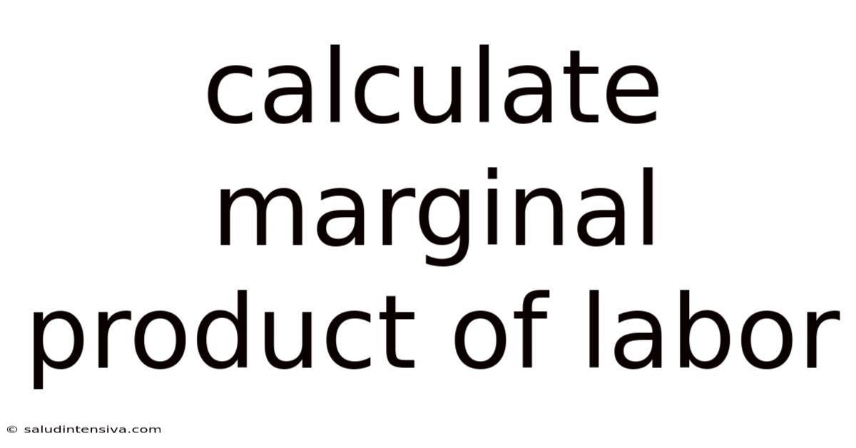Calculate Marginal Product Of Labor