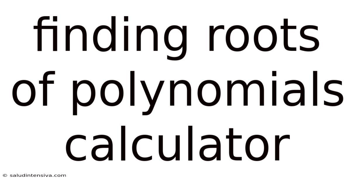 Finding Roots Of Polynomials Calculator