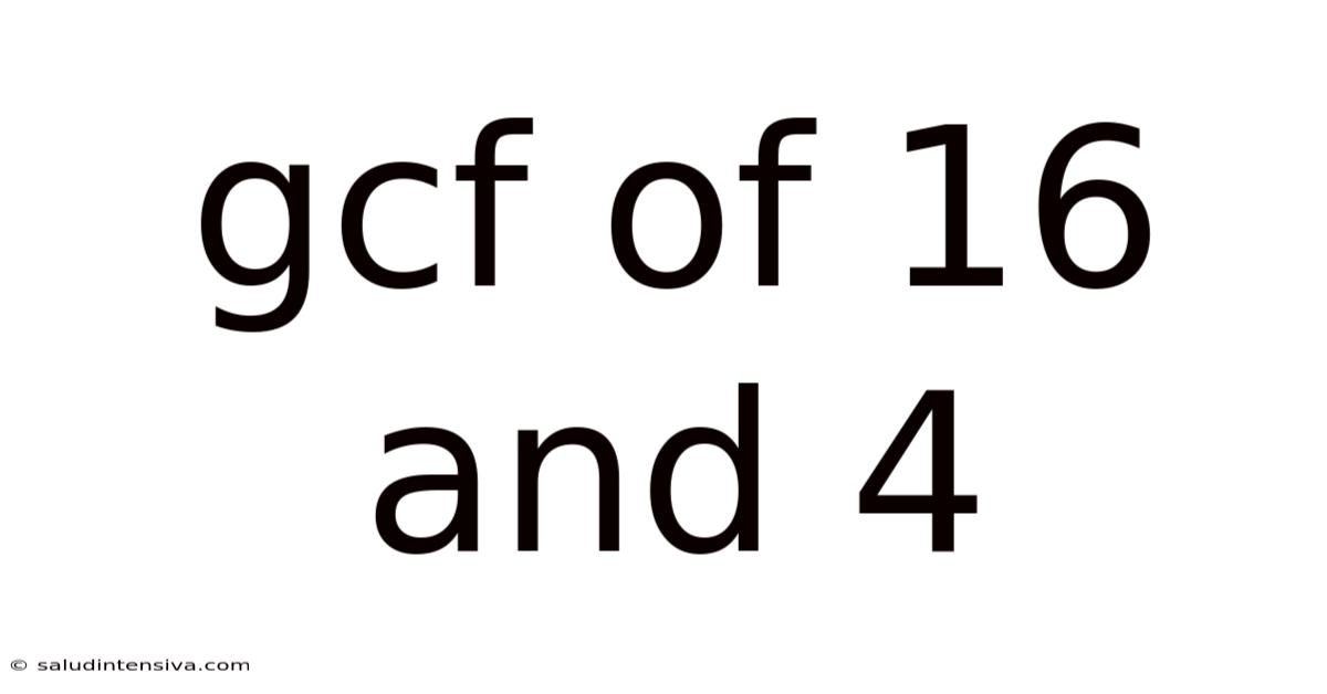 Gcf Of 16 And 4