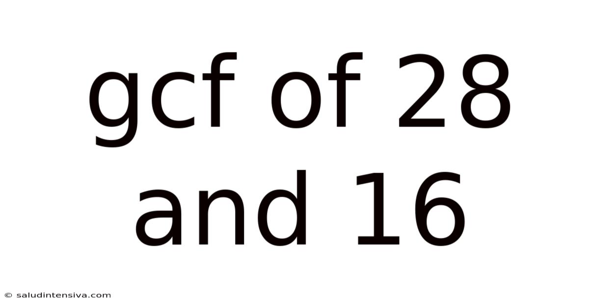 Gcf Of 28 And 16