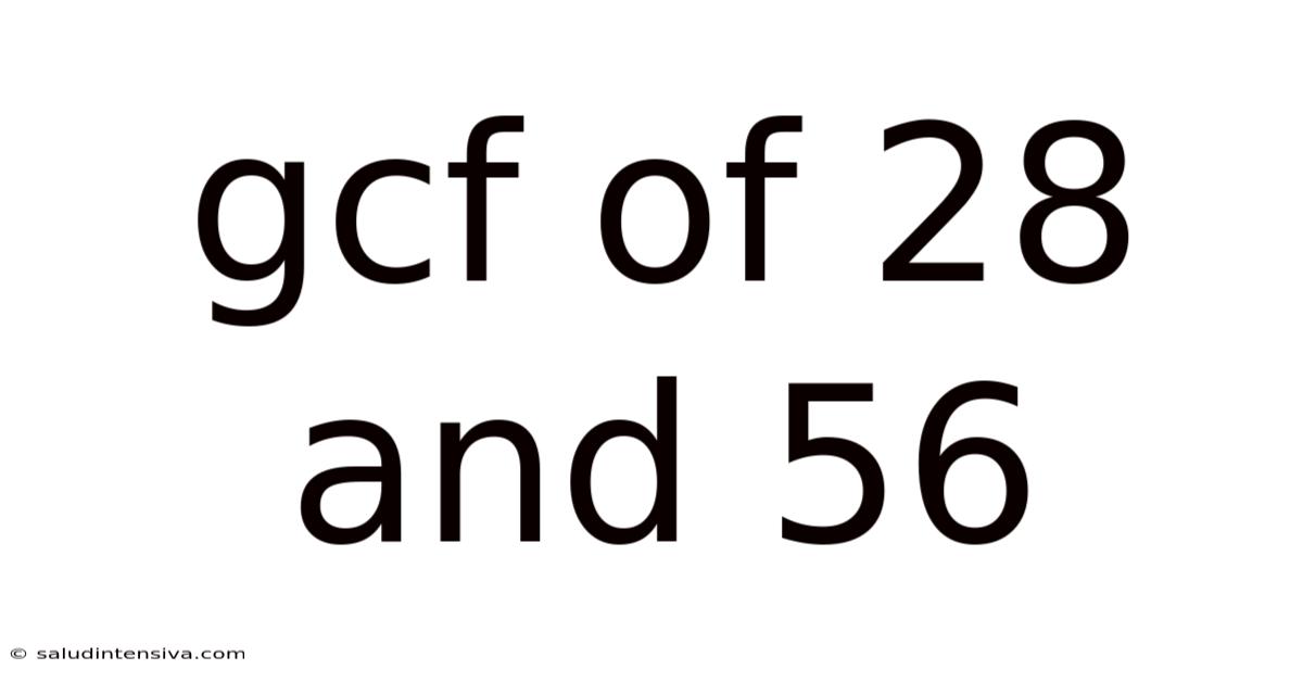 Gcf Of 28 And 56