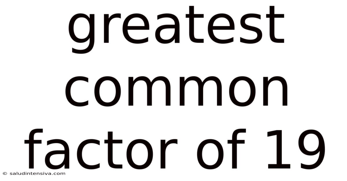 Greatest Common Factor Of 19