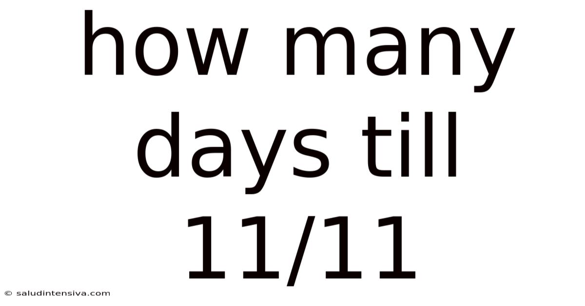 How Many Days Till 11/11