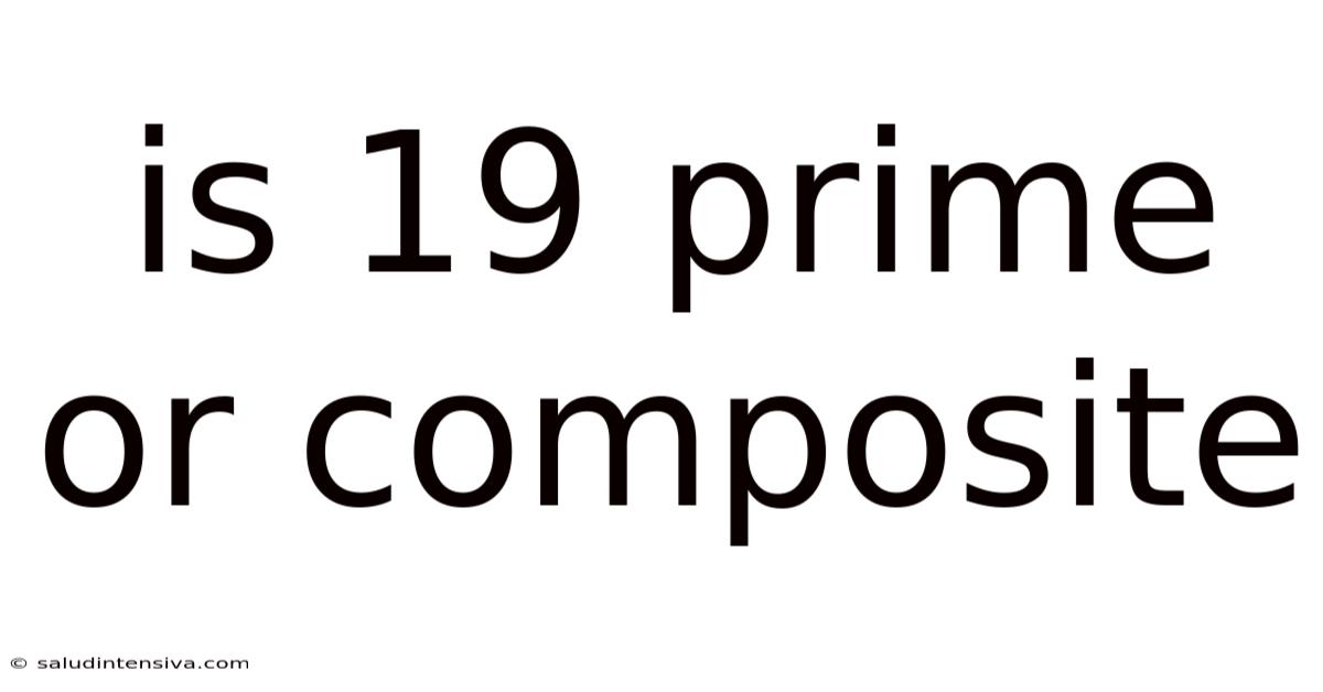 Is 19 Prime Or Composite