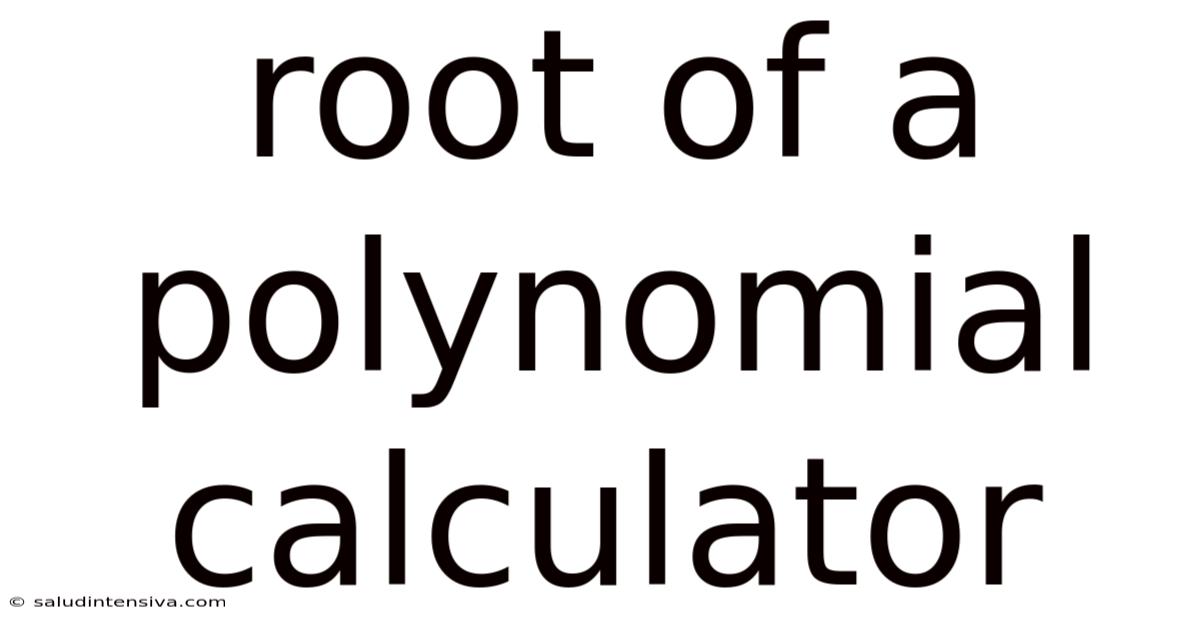 Root Of A Polynomial Calculator