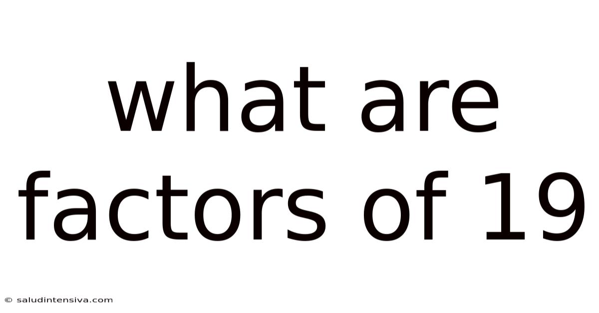 What Are Factors Of 19