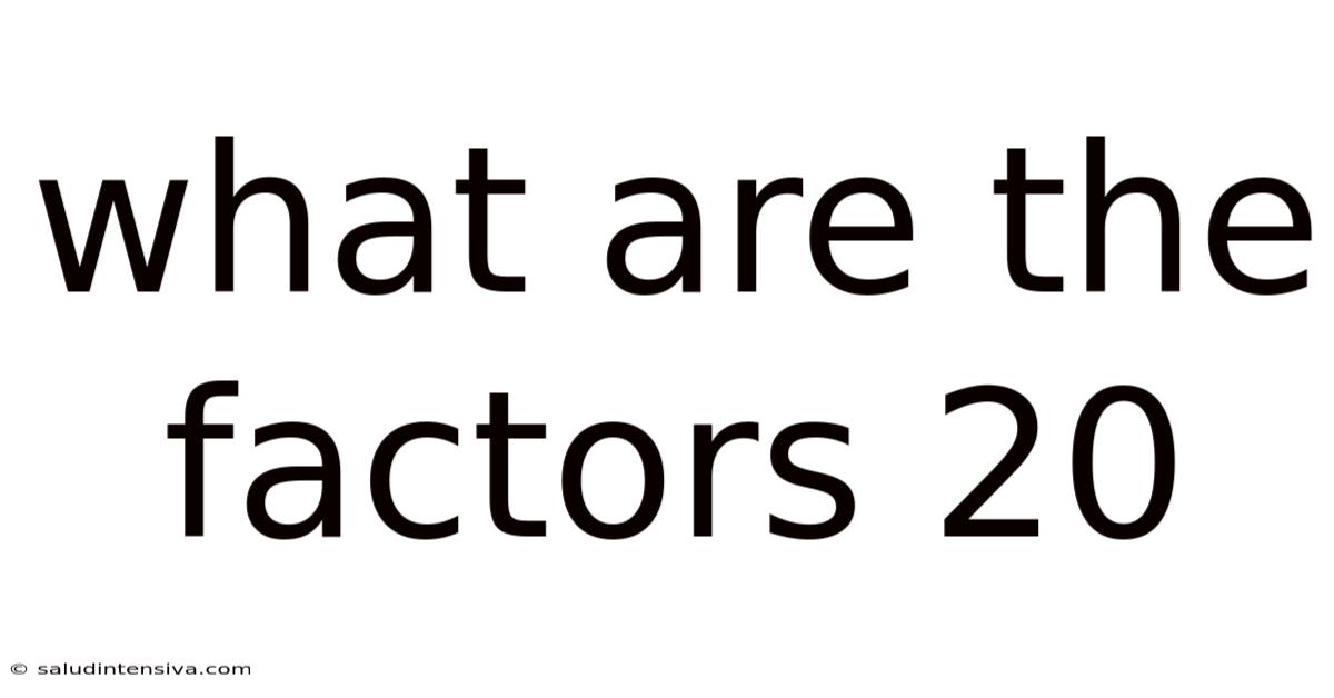What Are The Factors 20