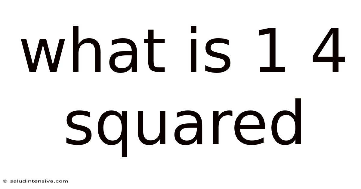 What Is 1 4 Squared